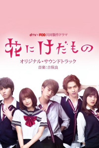 Цветок для зверя