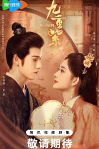 Процветание