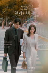 Мой идеальный секретарь