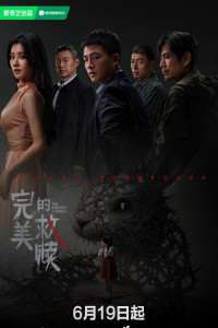 Идеальный подозреваемый