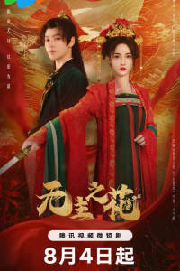 Леди-командир