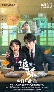 В погоне за бабочкой