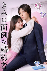 Мой проблемный жених